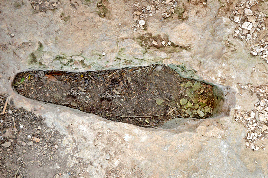 Necròpolis medieval cristiana de Sant Jaume dels Domenys