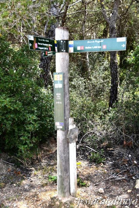 Nulles - El Bosc del Lluc 