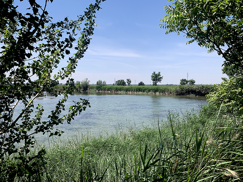 Ruta de les Peixeres d'Anglesola