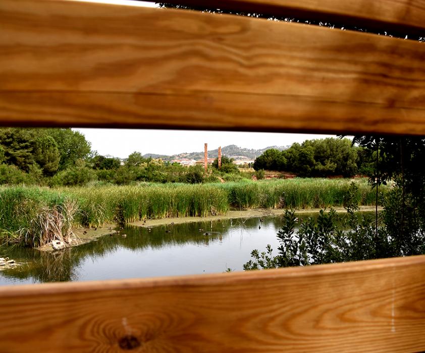 Aiguamoll de la bòvila de Santpedor ***