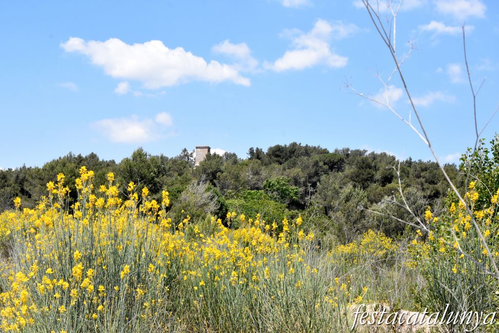 Subirats - Torre del Telègraf de l'Ordal 