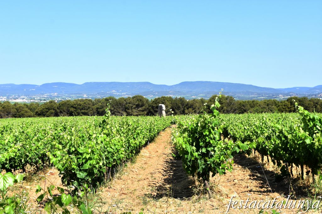 Subirats - Torreta del Moro a Lavern 