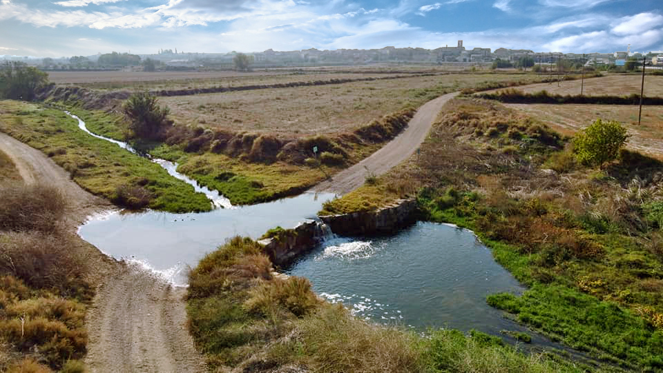 Anglesola - Peixera del Castellana (Foto: Ajuntament)