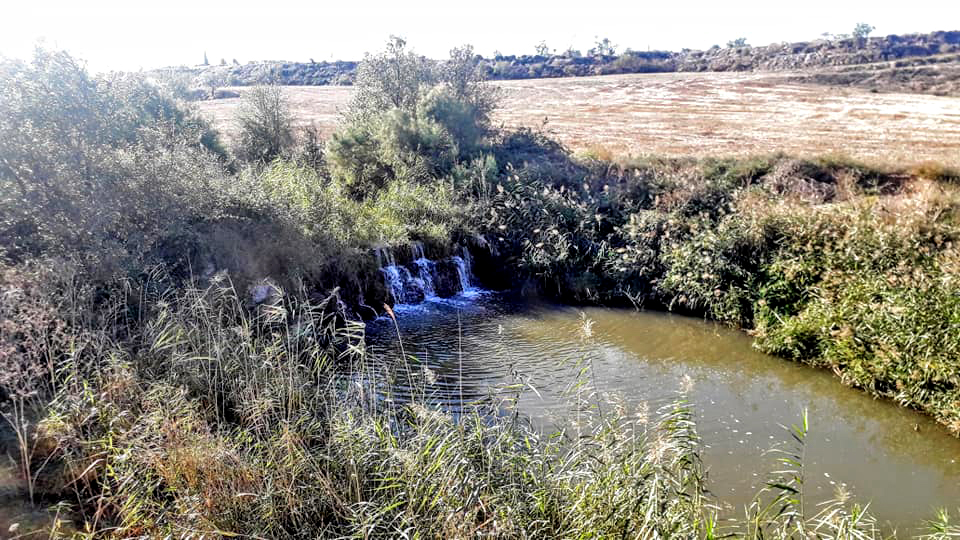Anglesola - Peixera del Gasol (Foto: Ajuntament)