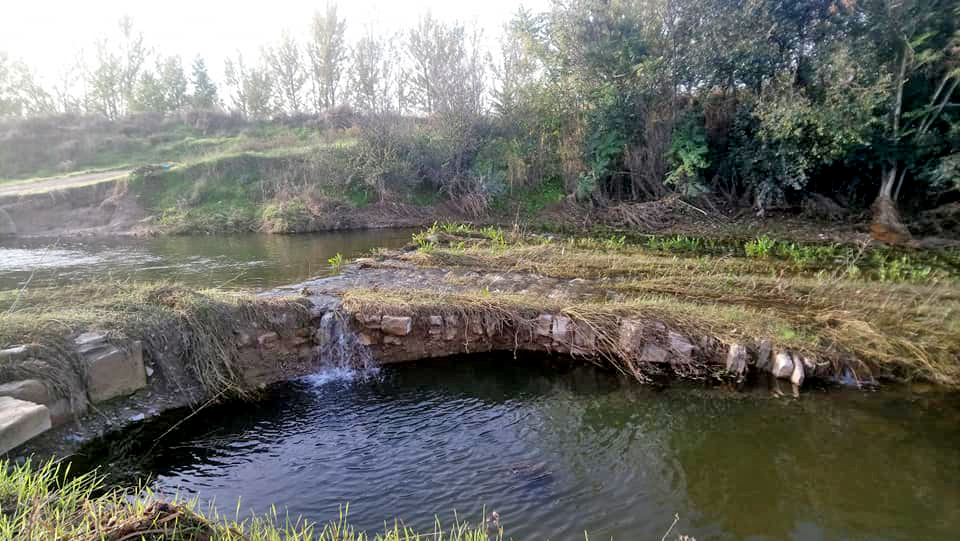 Anglesola - Peixera del reguer Forcat (Foto: Ajuntament)