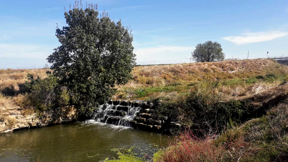 Anglesola - Peixera del Torta (Foto: Ajuntament)