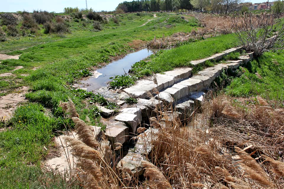 Anglesola - Peixera de Santes Creus (Foto: Ajuntament)