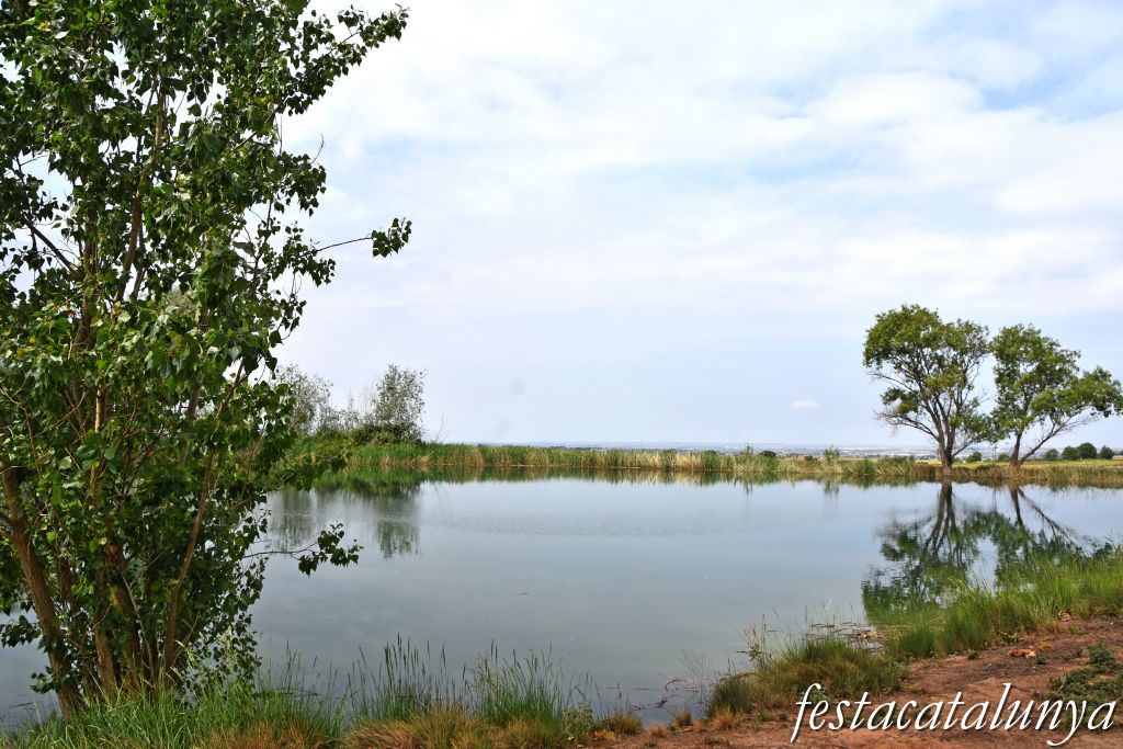Bellcaire d'Urgell - Estanyets de la sèquia primera 