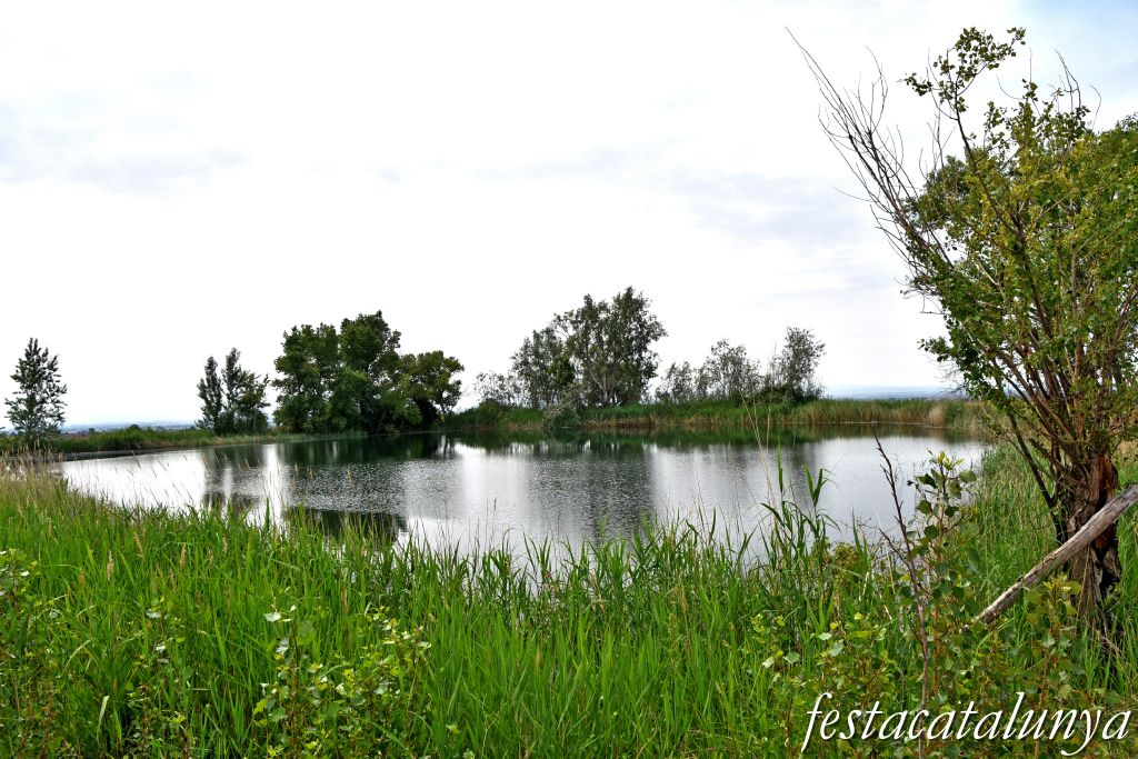 Bellcaire d'Urgell - Estanyets de la sèquia primera 