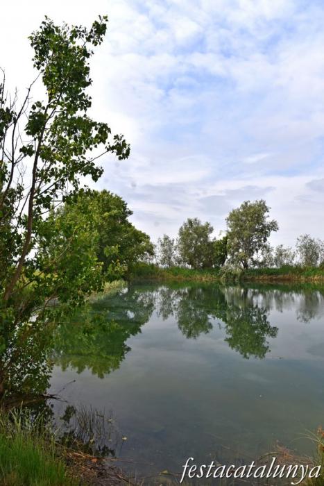 Bellcaire d'Urgell - Estanyets de la sèquia primera 