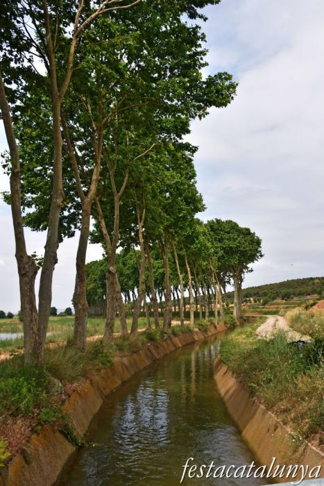 Bellcaire d'Urgell - Estanyets de la sèquia primera 