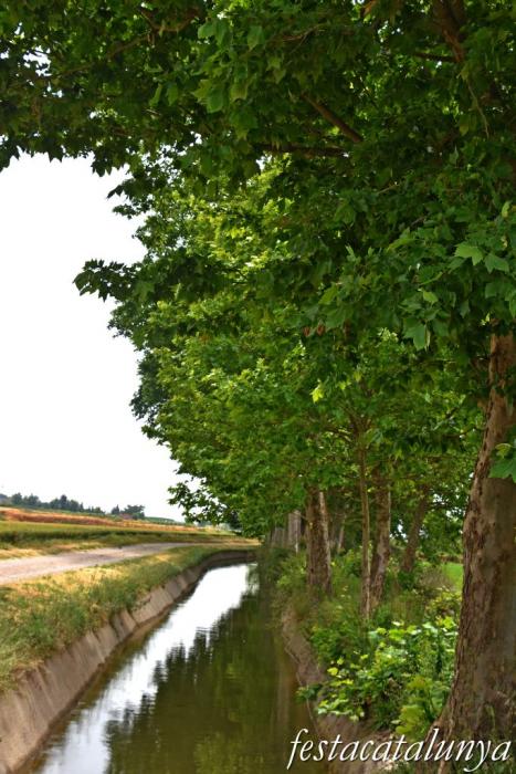 Bellcaire d'Urgell - Estanyets de la sèquia primera 