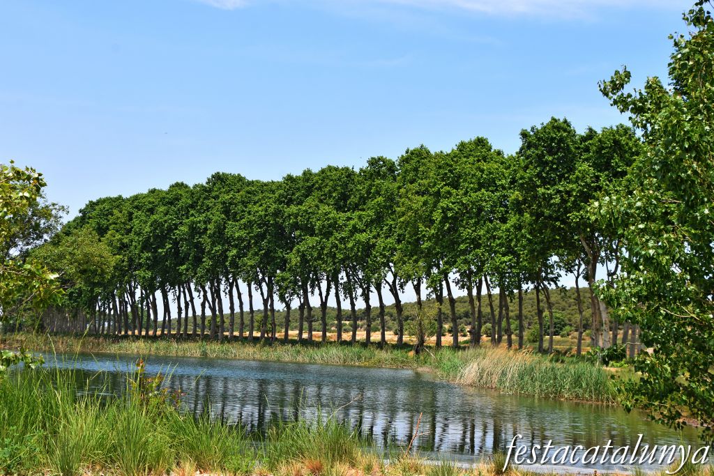 Bellcaire d'Urgell - Estanyets de la sèquia primera 