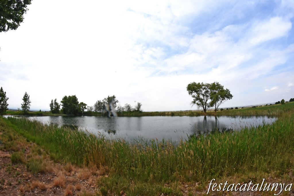 Bellcaire d'Urgell - Estanyets de la sèquia primera 