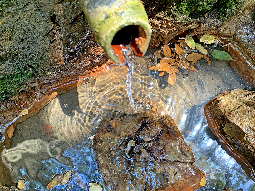 Font picant a Santa Cristina d'Aro