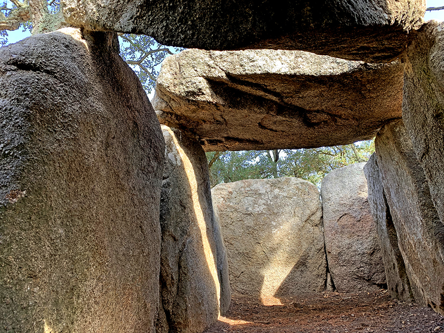 Dolmen de la Cova d'en Daina a Santa Cristina d'Aro ***