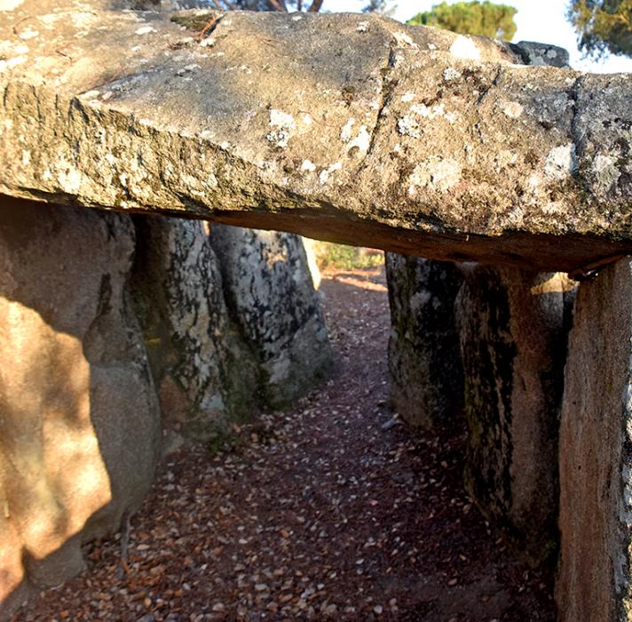 Dolmen del mas Bou-serenys a Santa Cristina d'Aro ***