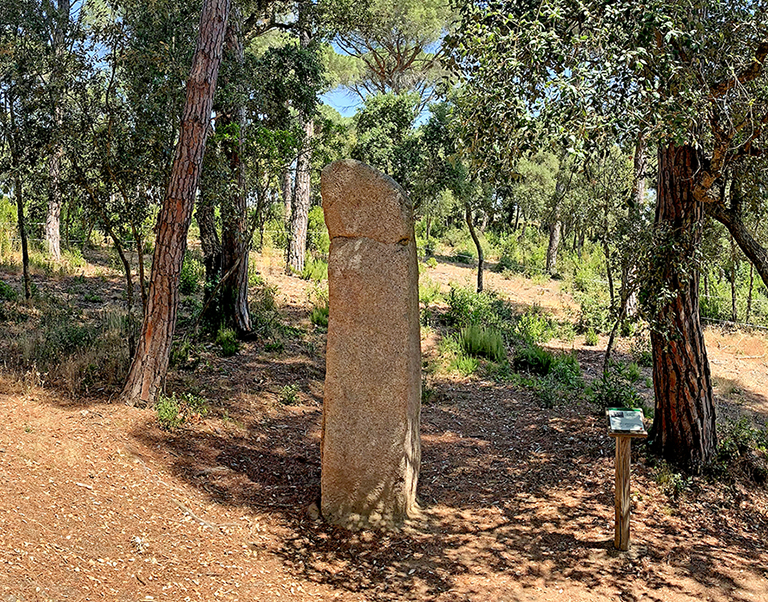 Menhir de la Murtra a Santa Cristina d'Aro ***