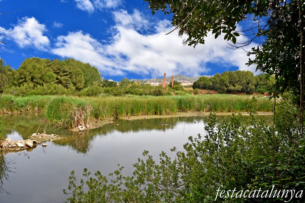 Santpedor - Aiguamoll de la bòvila