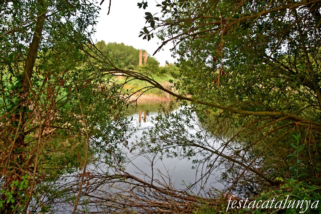 Santpedor - Aiguamoll de la bòvila 