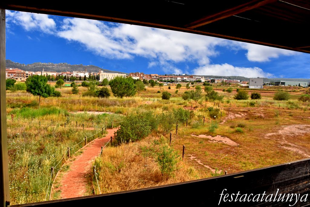 Santpedor - Aiguamoll de la bòvila 