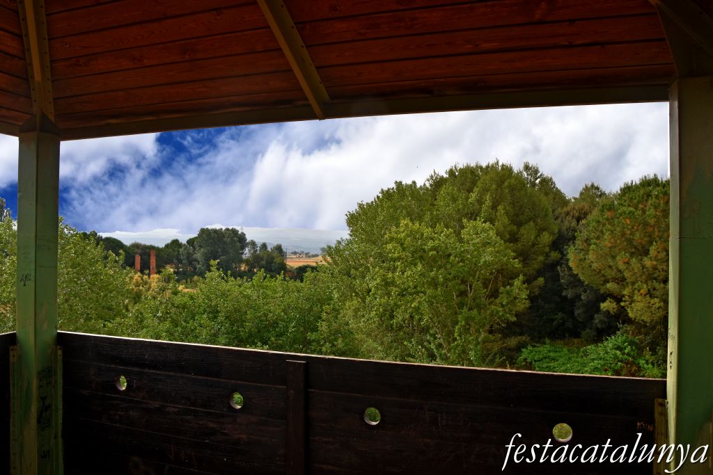 Santpedor - Aiguamoll de la bòvila 