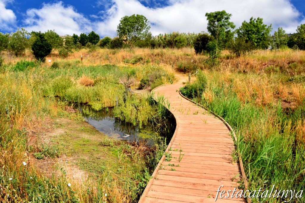 Santpedor - Aiguamoll de la bòvila 