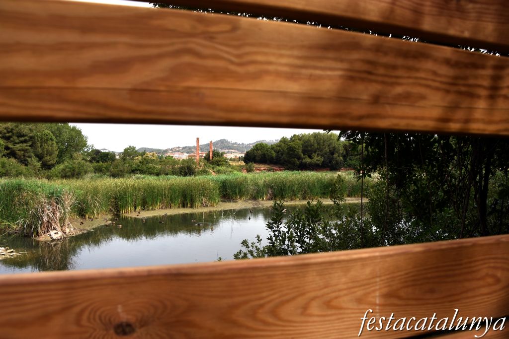 Santpedor - Aiguamoll de la bòvila 