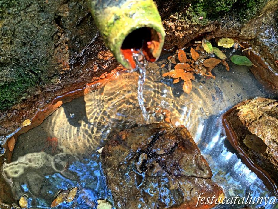 Santa Cristina d'Aro - Font picant 