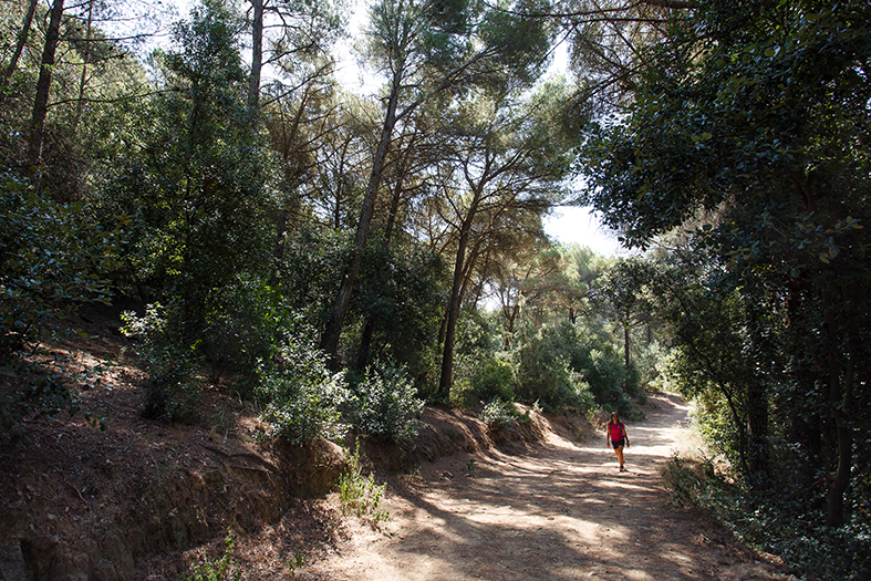 Senderisme i rutes BTT a l'entorn natural de La Garriga