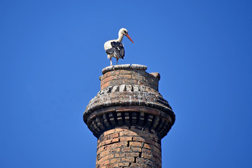 Els Fumerals de Montoliu de Lleida ***