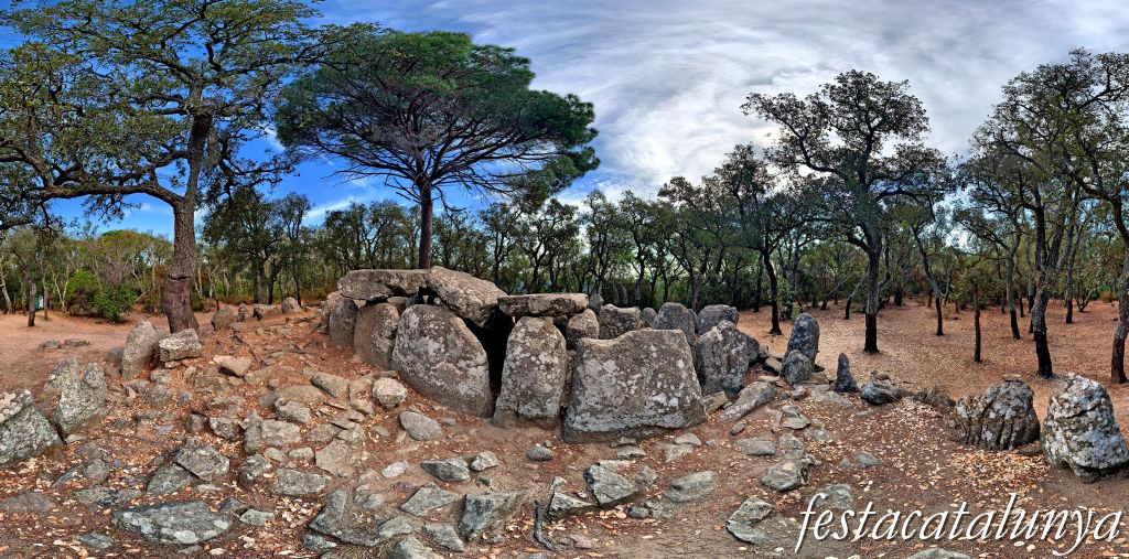 Santa Cristina d'Aro - Dolmen de la Cova d'en Daina 