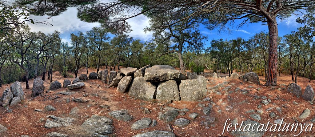 Santa Cristina d'Aro - Dolmen de la Cova d'en Daina 
