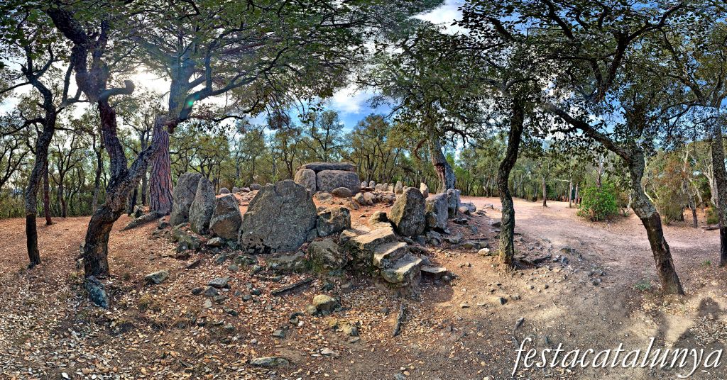 Santa Cristina d'Aro - Dolmen de la Cova d'en Daina 