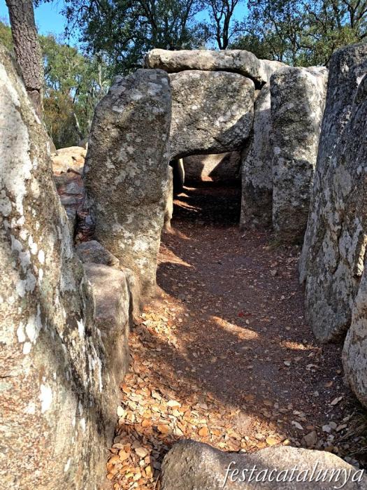 Santa Cristina d'Aro - Dolmen de la Cova d'en Daina 