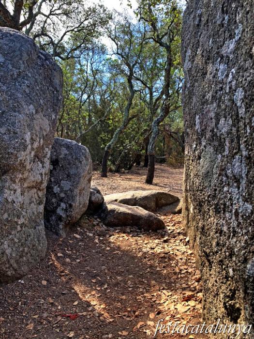 Santa Cristina d'Aro - Dolmen de la Cova d'en Daina 