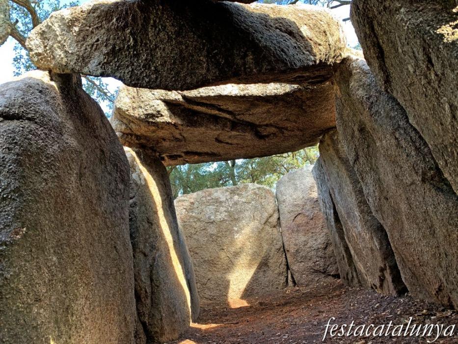 Santa Cristina d'Aro - Dolmen de la Cova d'en Daina 