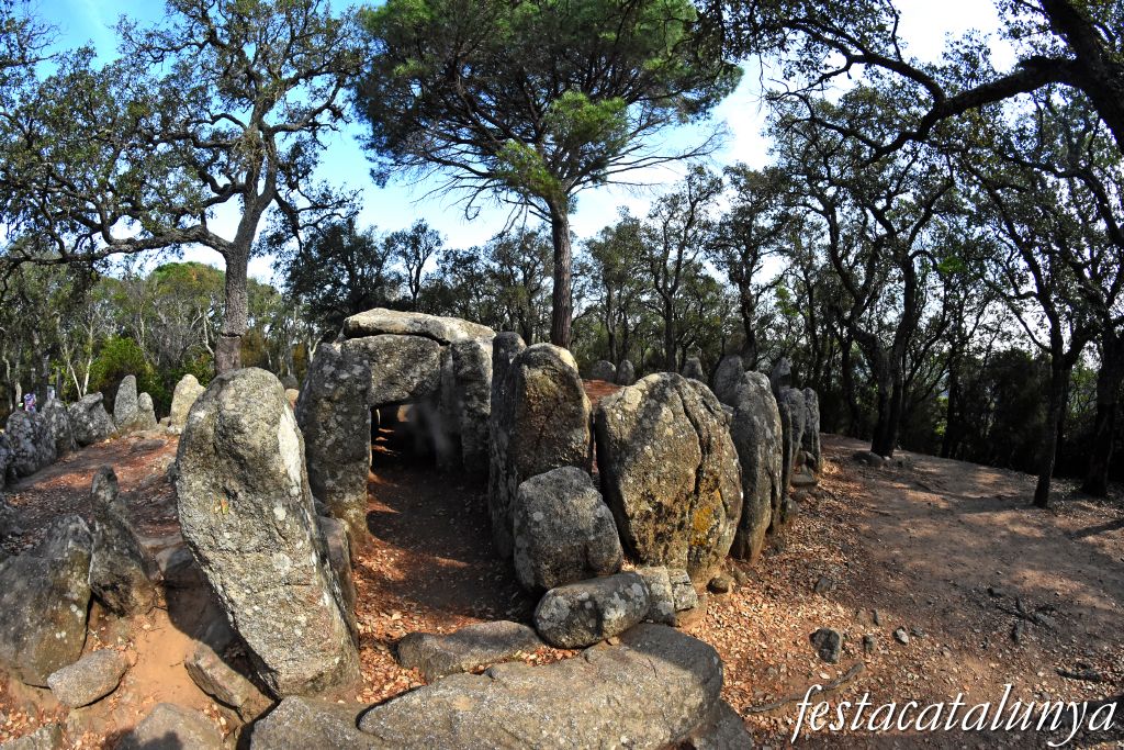 Santa Cristina d'Aro - Dolmen de la Cova d'en Daina 