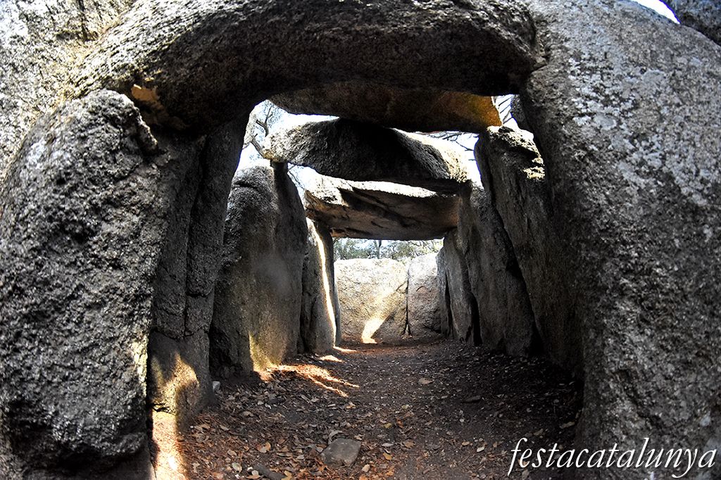 Santa Cristina d'Aro - Dolmen de la Cova d'en Daina 