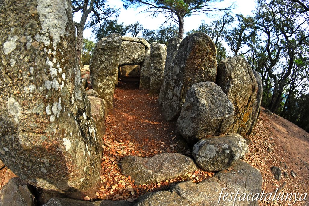 Santa Cristina d'Aro - Dolmen de la Cova d'en Daina 