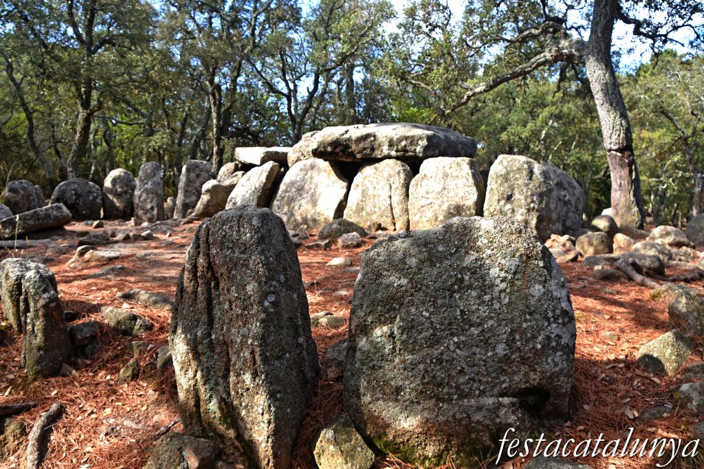 Santa Cristina d'Aro - Dolmen de la Cova d'en Daina 