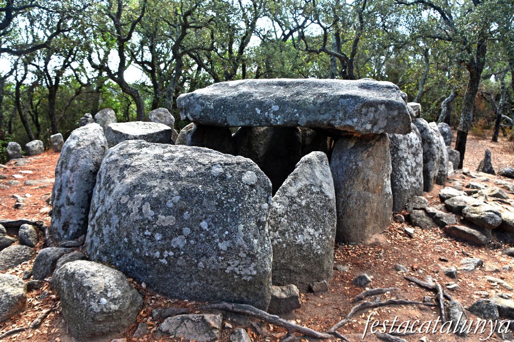 Santa Cristina d'Aro - Dolmen de la Cova d'en Daina 