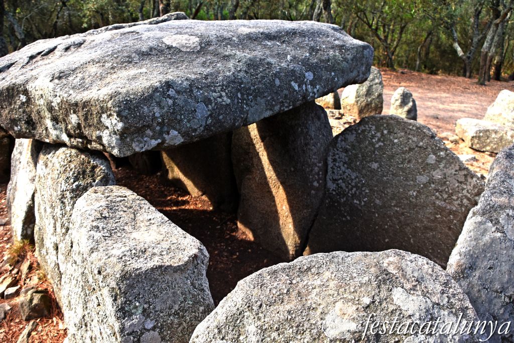 Santa Cristina d'Aro - Dolmen de la Cova d'en Daina 