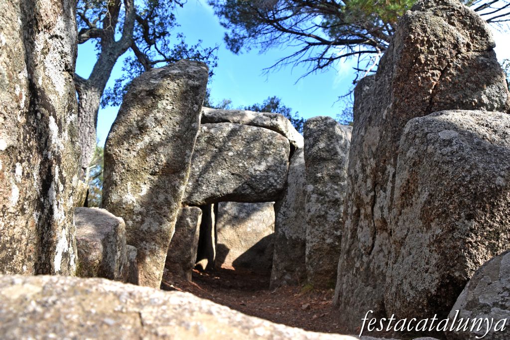 Santa Cristina d'Aro - Dolmen de la Cova d'en Daina 