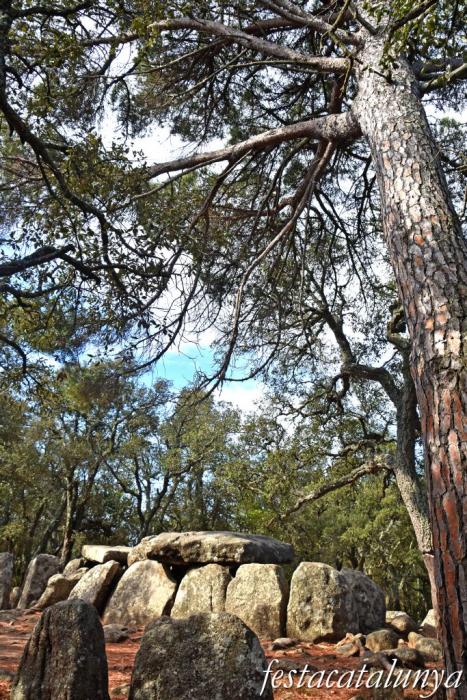 Santa Cristina d'Aro - Dolmen de la Cova d'en Daina 