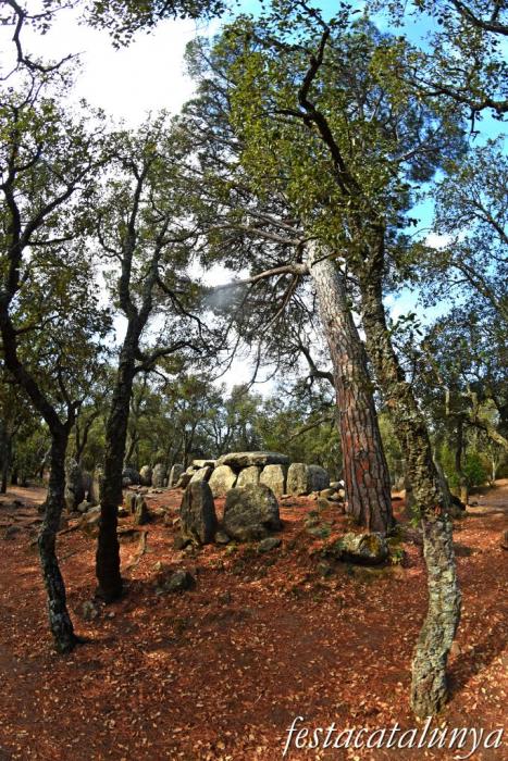 Santa Cristina d'Aro - Dolmen de la Cova d'en Daina