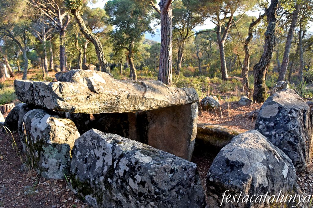 Santa Cristina d'Aro - Dolmen del mas Bou-serenys