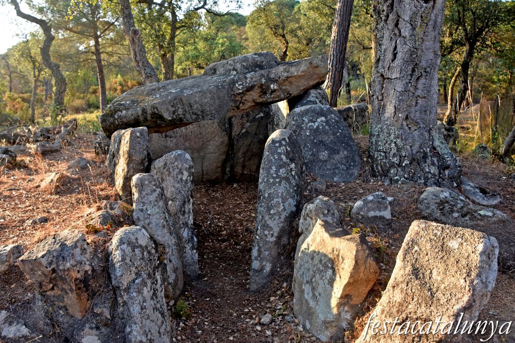Santa Cristina d'Aro - Dolmen del mas Bou-serenys 