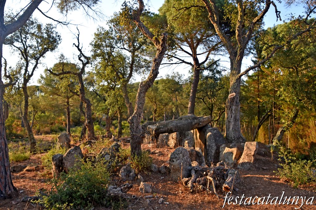Santa Cristina d'Aro - Dolmen del mas Bou-serenys 