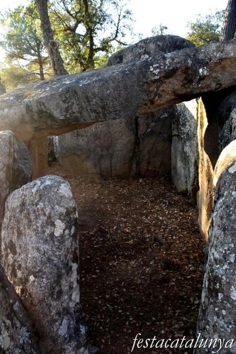 Santa Cristina d'Aro - Dolmen del mas Bou-serenys 